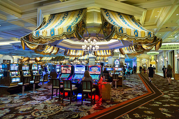 timah33 Live Casino